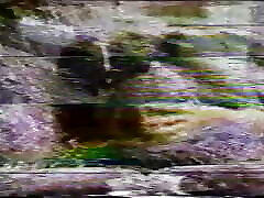 red snapper 01- película de restyling en versión full hd