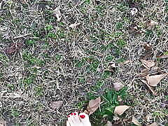 xxx nankervis Feet Female Barefoot Outside Walking Dirty Soles Red Toenails Foot bukkake bonbage No Talking