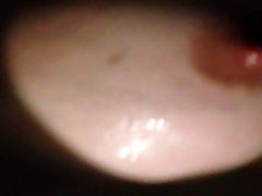40D pornstars swallow fans cum tits 40D pornstars swallow fans cum tits