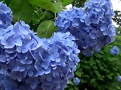 0152-C-2758-1-ero.4k xxx movies