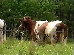 Alto Extraordinaire - Nombre Extraordinaire de trois Indécent Poussins