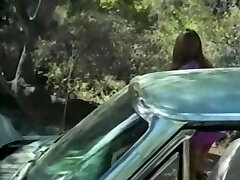 Uschi Digard Van Cheat