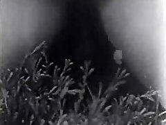 Retro Porno Archive - hard118