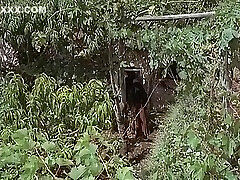 incroyable maison brune, rétro scène de sexe