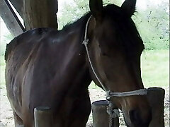 histoire italienne de puledre et stalloni-épisode 1