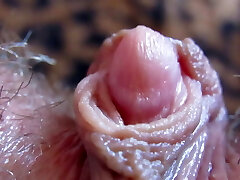 Extreme Close-Up On My Big Clitoris