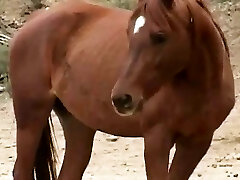 A scene dedicated to all lovers of anal invasion sex with Anal