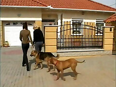 Sexy pussy licking blond babe withe her brunette girlfriend