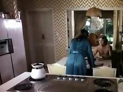 The MILF Hardcore Retropilation Classic Pornography