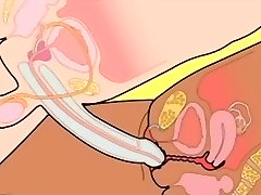 Orgasm sex How to wedge penis in vagina