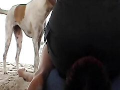 A super-naughty German lady sitting on her subs's face at the beach
