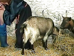 deutsch retro filme amateure die echten fucky-fucky vor der Kamera