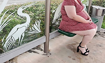 The perverted stranger at the bus stop asked me to lift up my dress & show him my vag