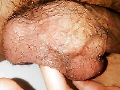 Showing My Big Veiny Testicles And Hairy Close-Up- Young Man Showing My Big Veiny Testicles And Hairy Close-Up- Young Man