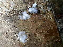 Watch my mushrooms slow eruption.