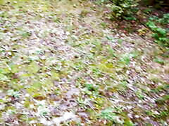 difficile tetta slapping su il ladder in il woods