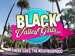 The Black Valley Girl babygirl breed Door