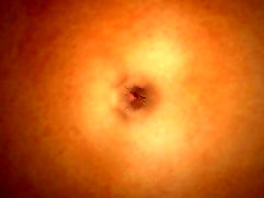 trypophile 01b: isoliert pulsierenden anus. orgasming.