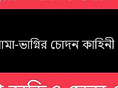Stepuncle And Nephew Bengali Audio Story