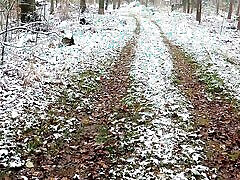 Naked through the woods and beating breasts warm