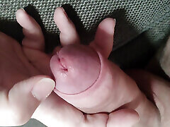 ein dicker penis ist morgens hart wie ein stein