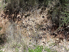 French Cuckold Wife In Cap D&039;Agde Nudist Resort Invites Guys To Fuck Her Hairy Pussy