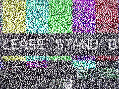 Dr Tampa - Tampa University Entrance Physical - Nicole Luva