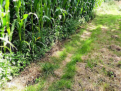 in il cornfield il tette beaten