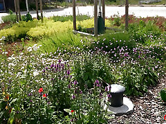 German Scout - Skinny porn tgeatre Melisa Rose Pick up for No Condom Casting Fuck German Scout - Skinny porn tgeatre Melisa Rose Pick up for No Condom Casting Fuck