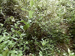 Jungle me mangl mooth parna Mooth maro