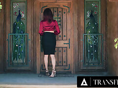 TRANSFIXED - Don&039;t Missed This Special 1 HOUR COMPILATION With Trans Goddess EMMA ROSE