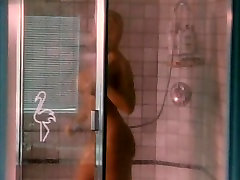 Anna Nicole Smith, Al milf im pornokino 1995