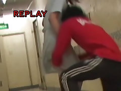 Rare scenes of the violent Japanese sharking on cam