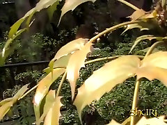 Eccentric short-haired Asian babe loses her top when sharking guy steals it
