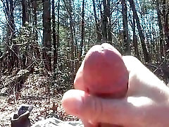 Dupont Forest cum