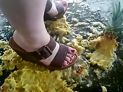 Pineapple stomp wedges