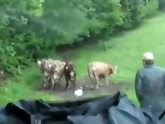 Redhead teen fuck for cash