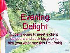 evening delight