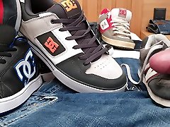 new dcs arrived ...