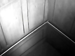 Couple Sex Elevator