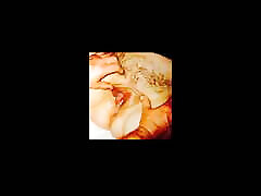 nikki sax vidioscom