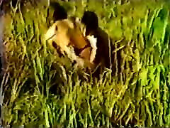 vieja pelea de gatas