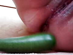 Courgette 3