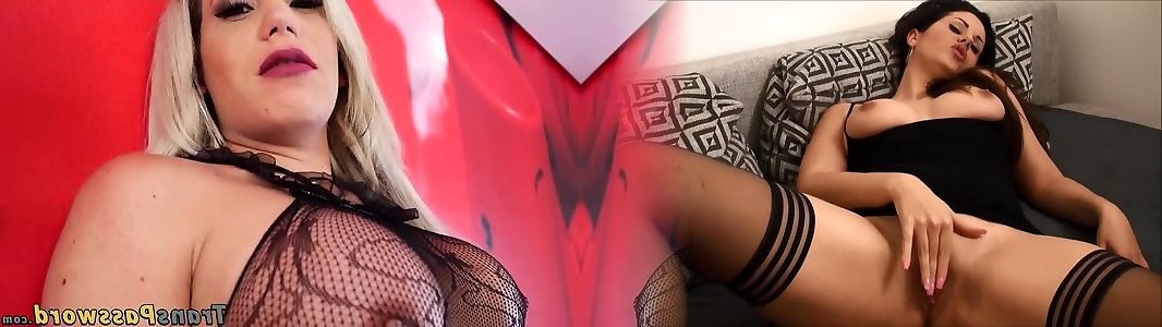 Spicy Tranny Videos